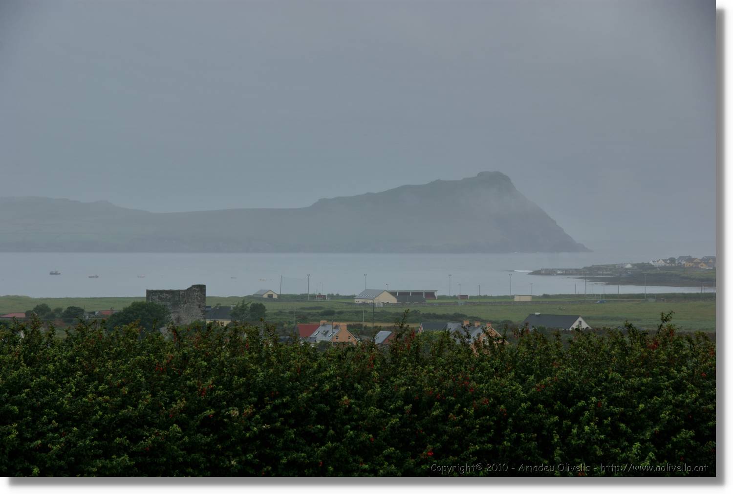 Kerry_095.jpg