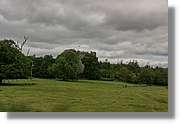 Kerry_001.jpg