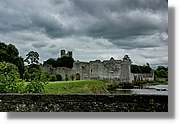 Kerry_011.jpg