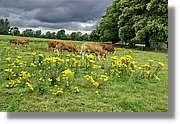 Kerry_027.jpg