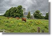 Kerry_028.jpg