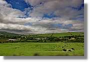 Kerry_029.jpg