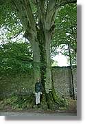 Kerry_046.jpg