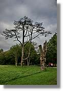 Kerry_049.jpg