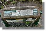 Nord_140.jpg