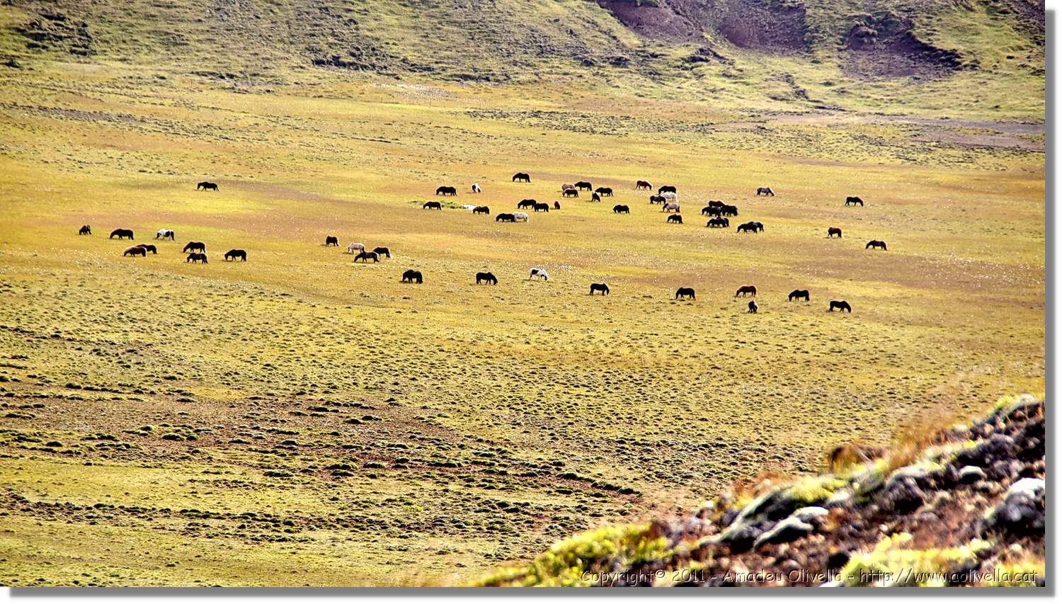1-Islandia_096.jpg