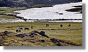 1-Islandia_136.jpg