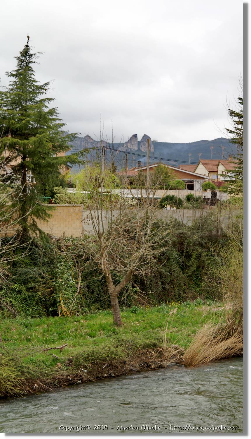 Anguciana_018.jpg