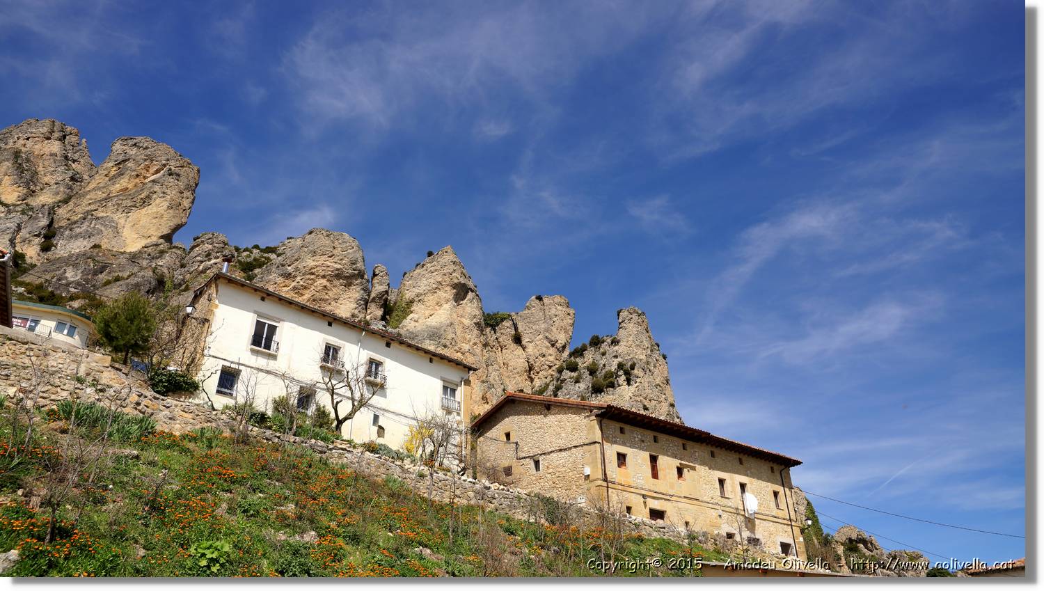 Cellorigo_001.jpg
