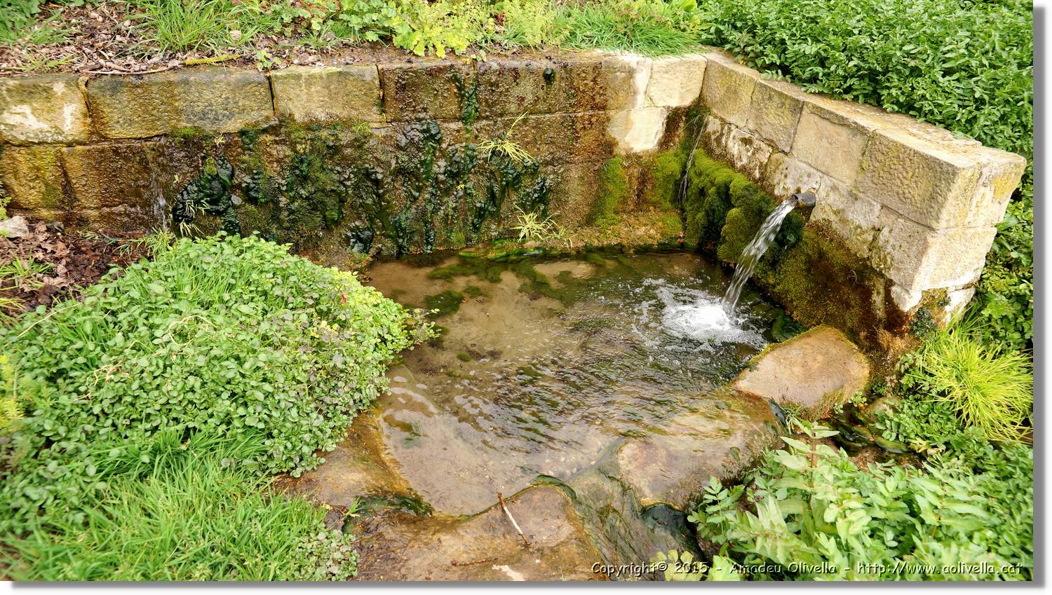 Cihuri_010.jpg