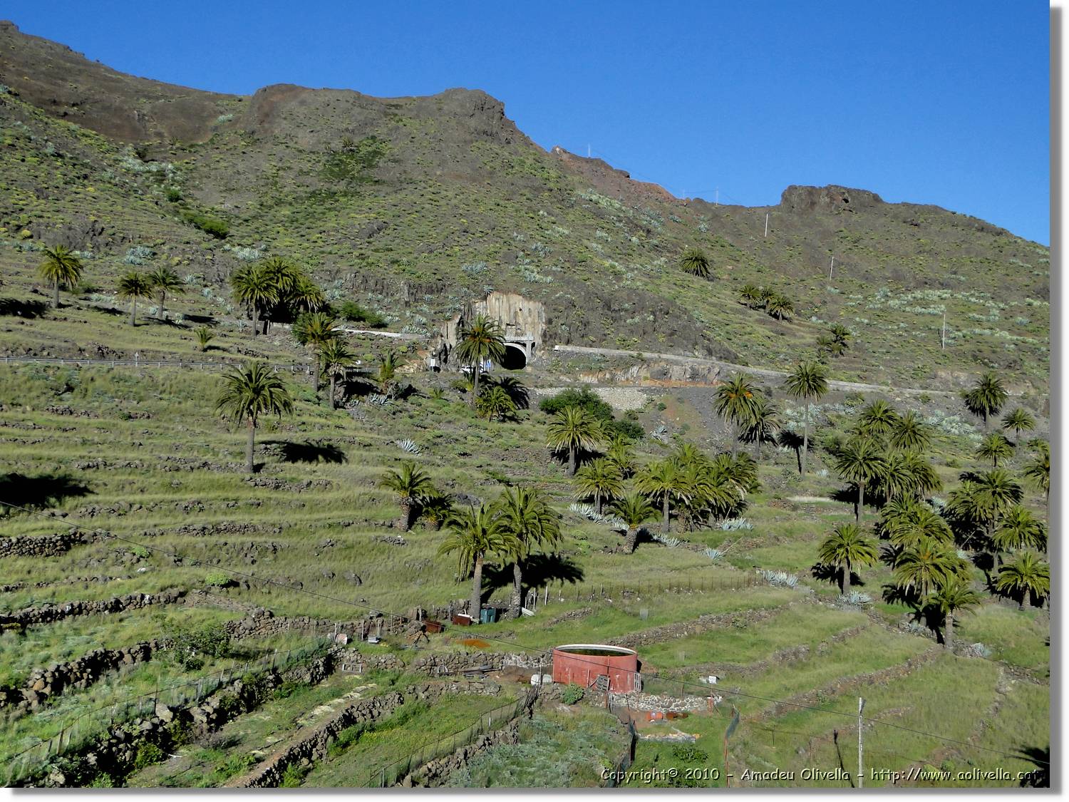 Gomera_013.jpg
