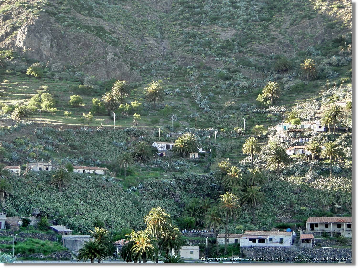 Gomera_020.jpg