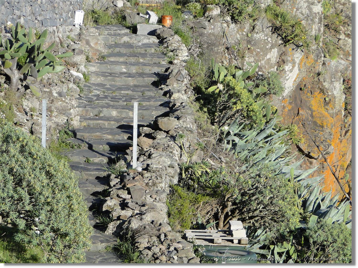 Gomera_031.jpg