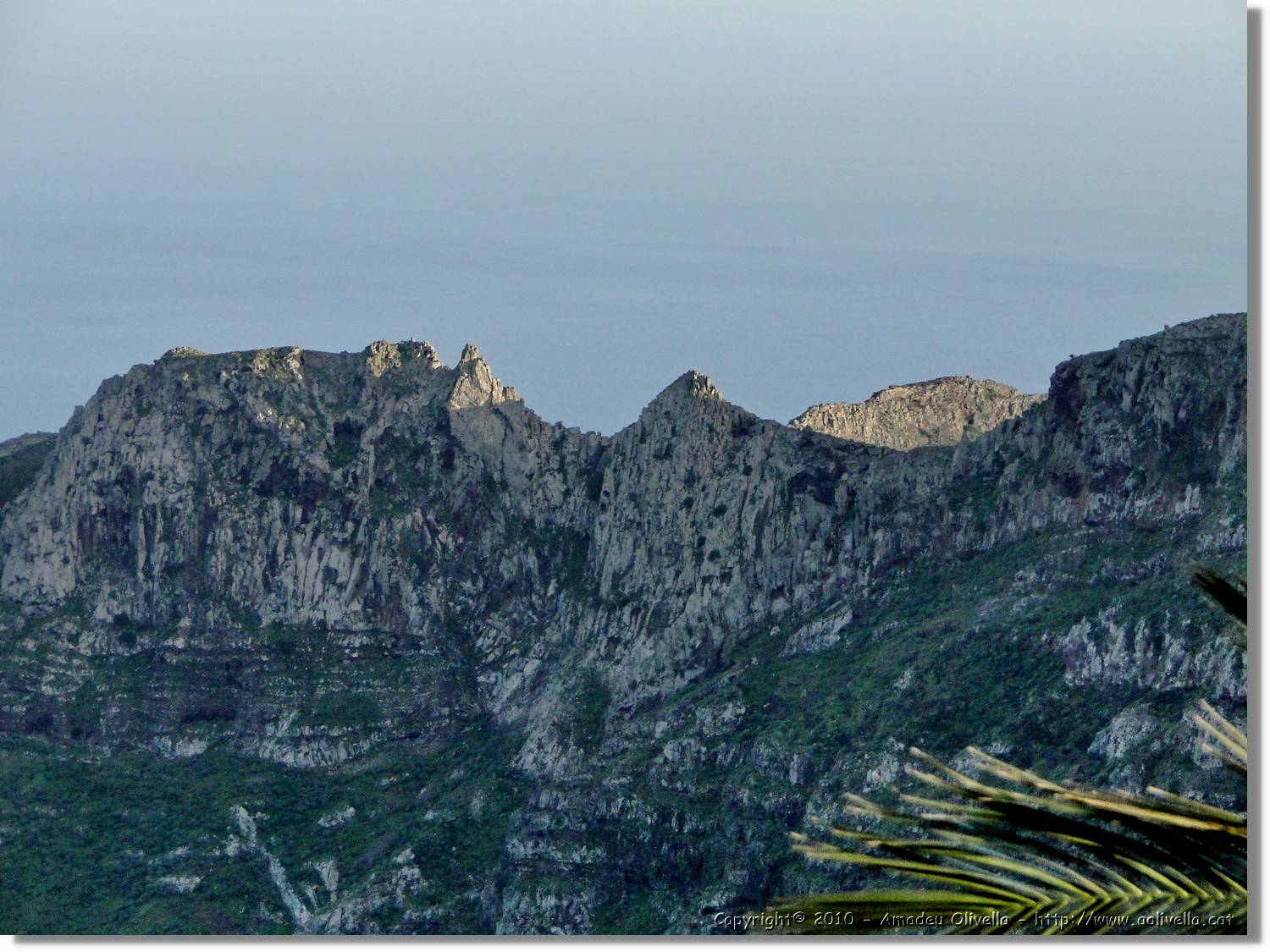 Gomera_032.jpg