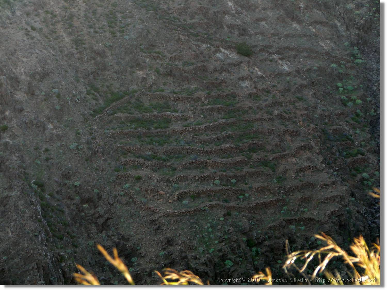 Gomera_039.jpg