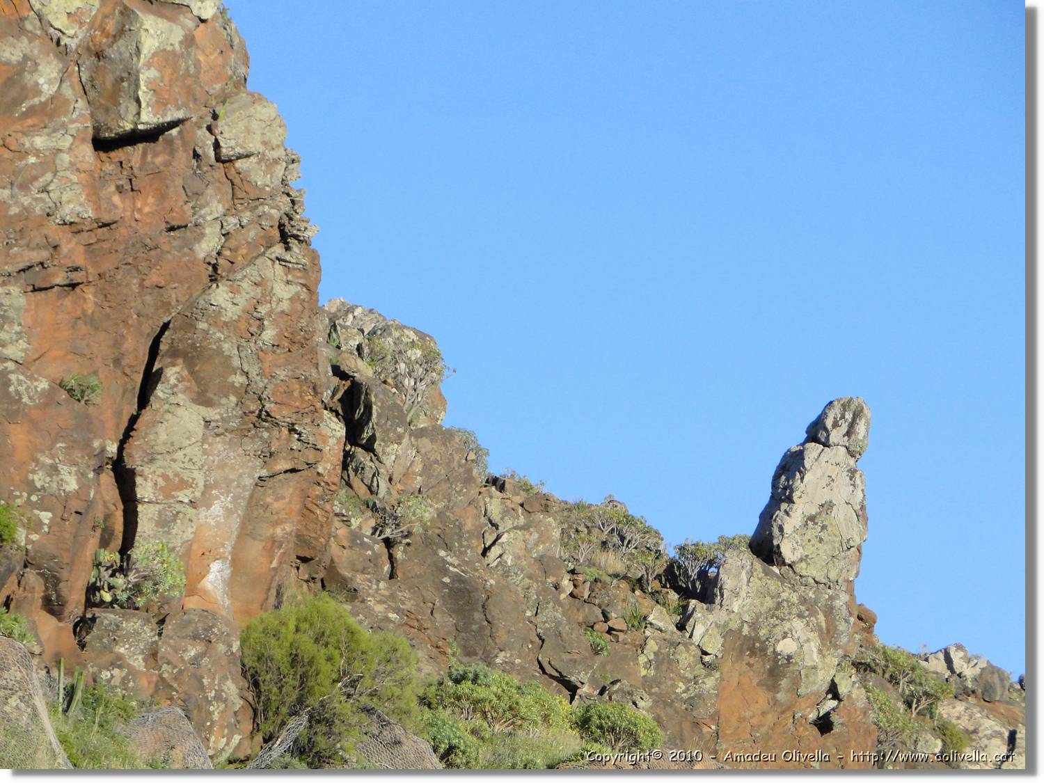 Gomera_040.jpg