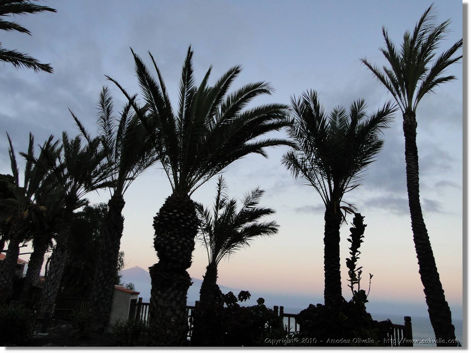 Gomera_055.jpg