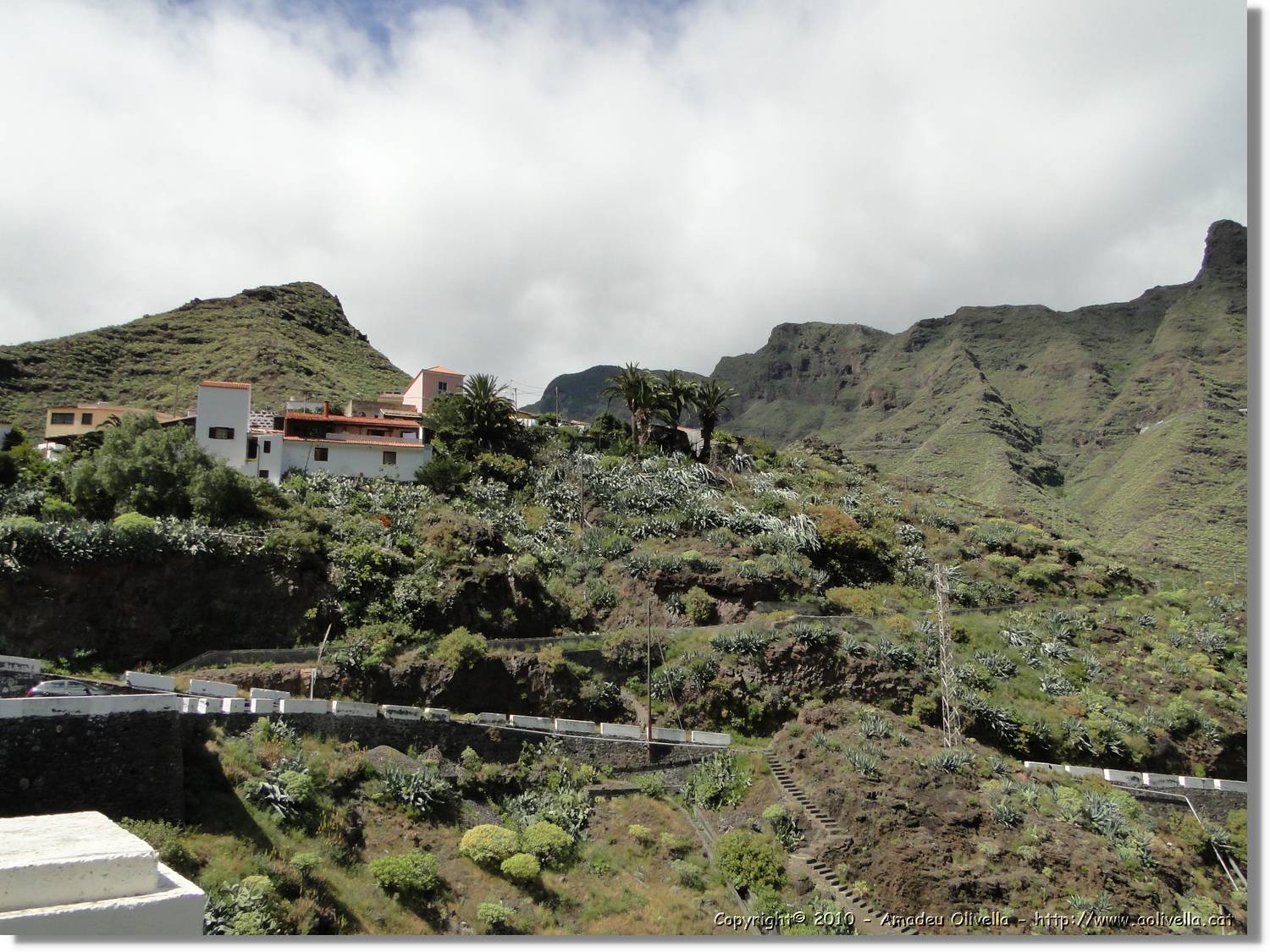 Gomera_069.jpg