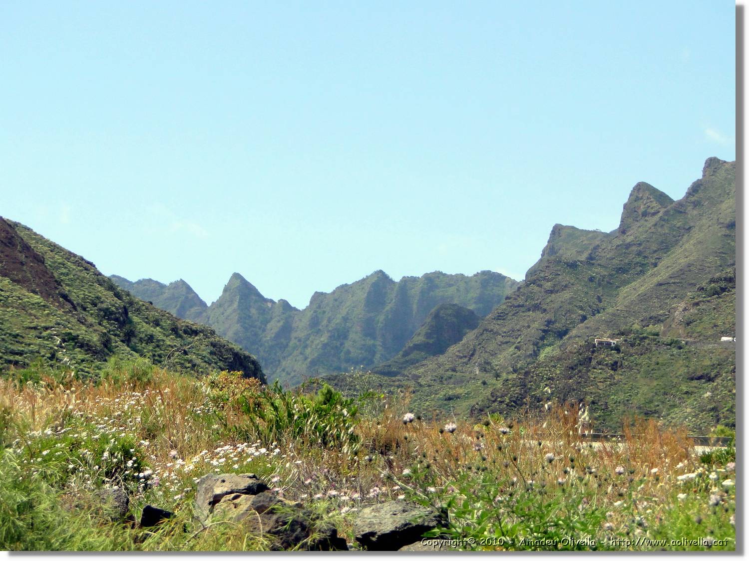 Gomera_109.jpg
