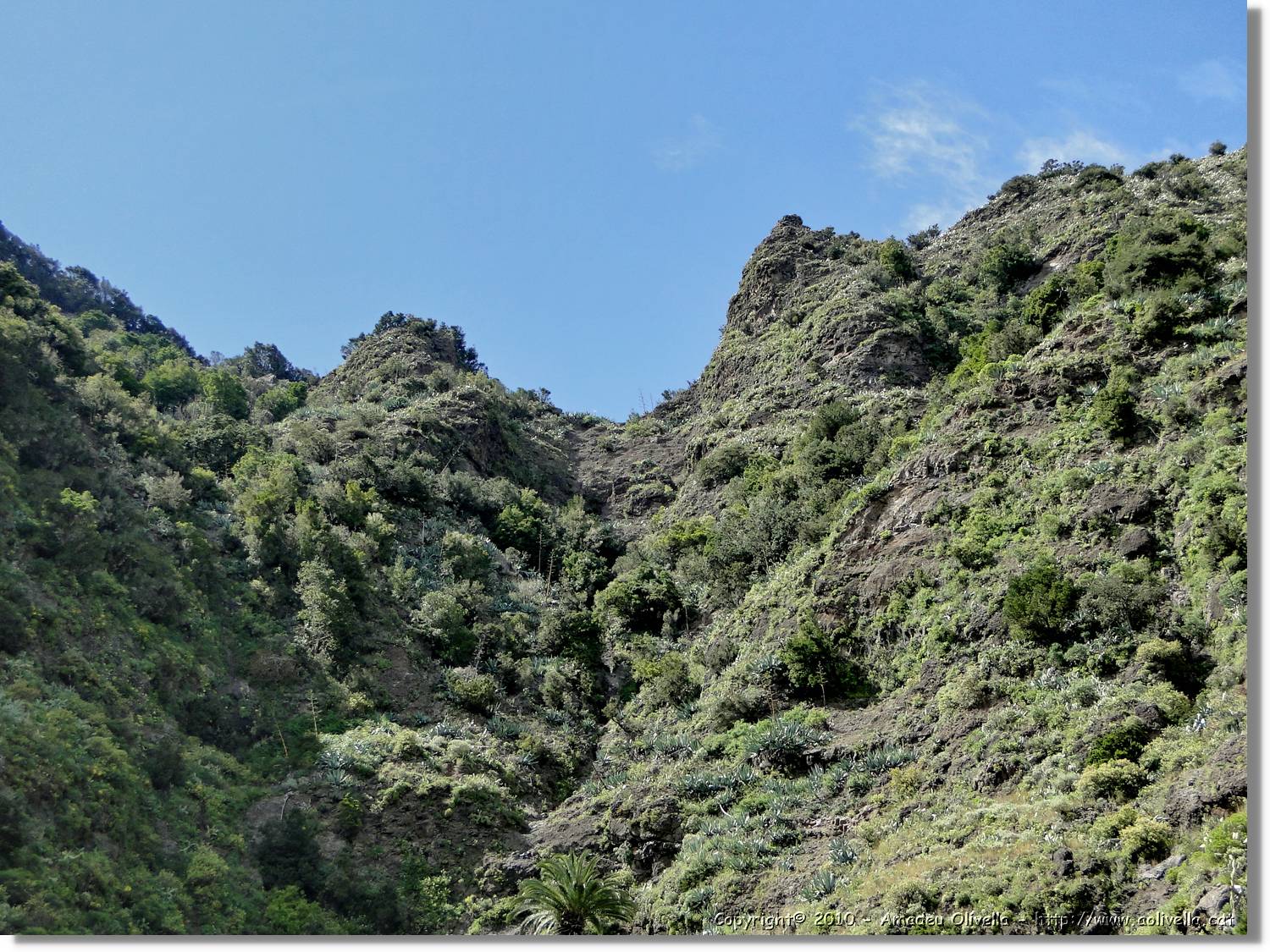 Gomera_121.jpg