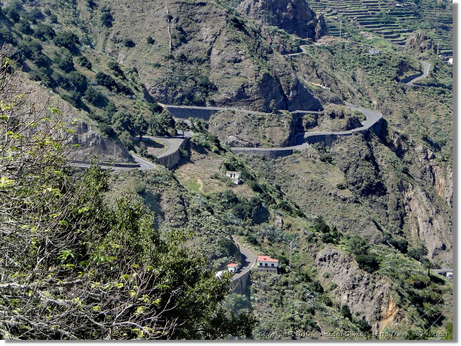 Gomera_129.jpg