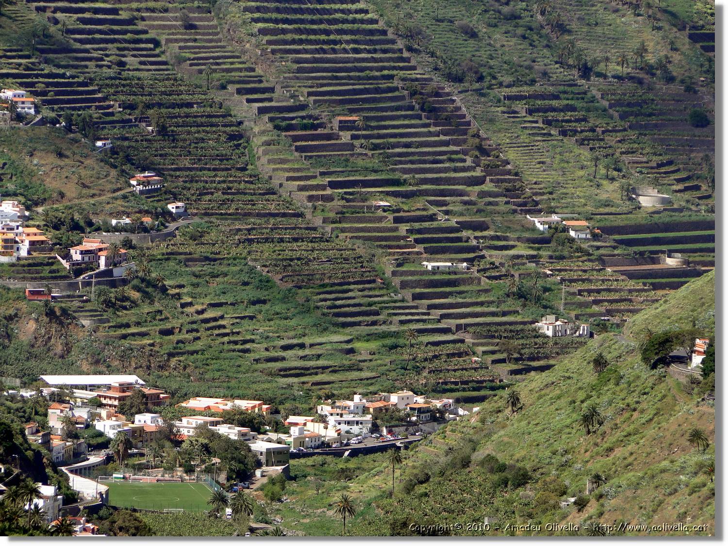 Gomera_142.jpg