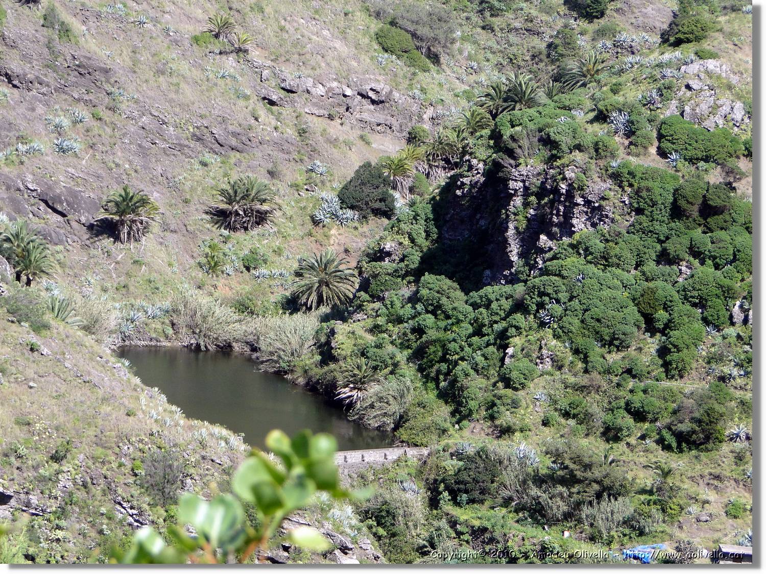 Gomera_143.jpg