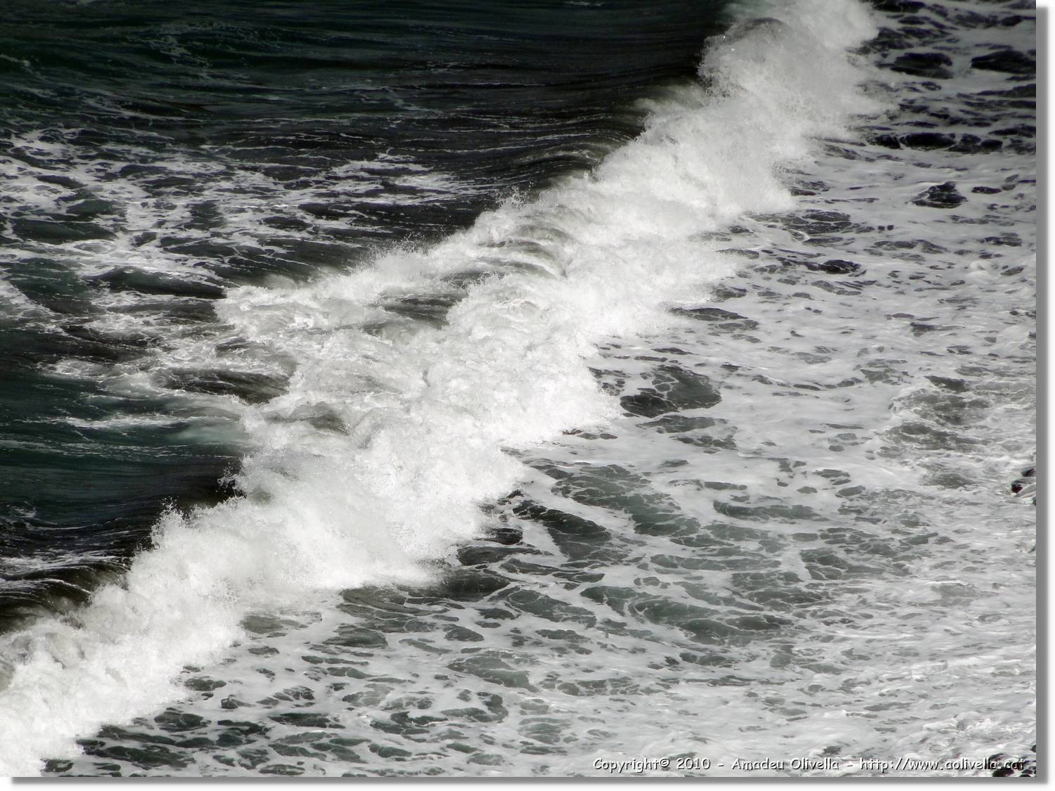Gomera_154.jpg
