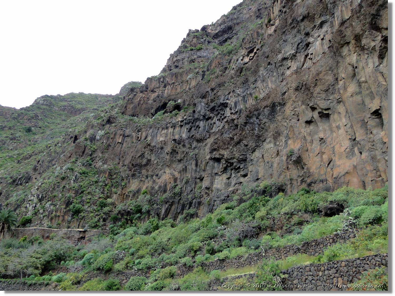 Gomera_168.jpg