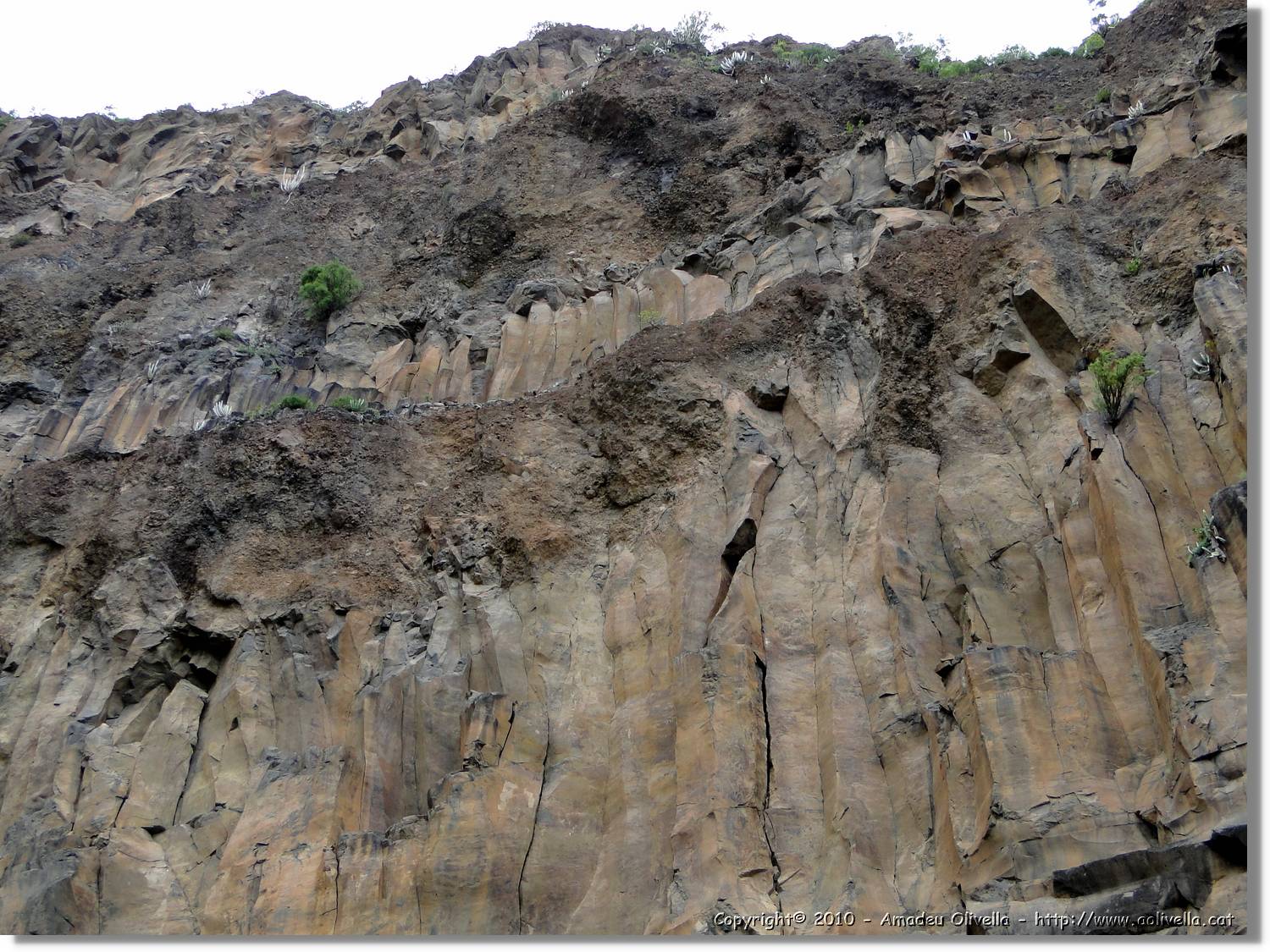 Gomera_170.jpg
