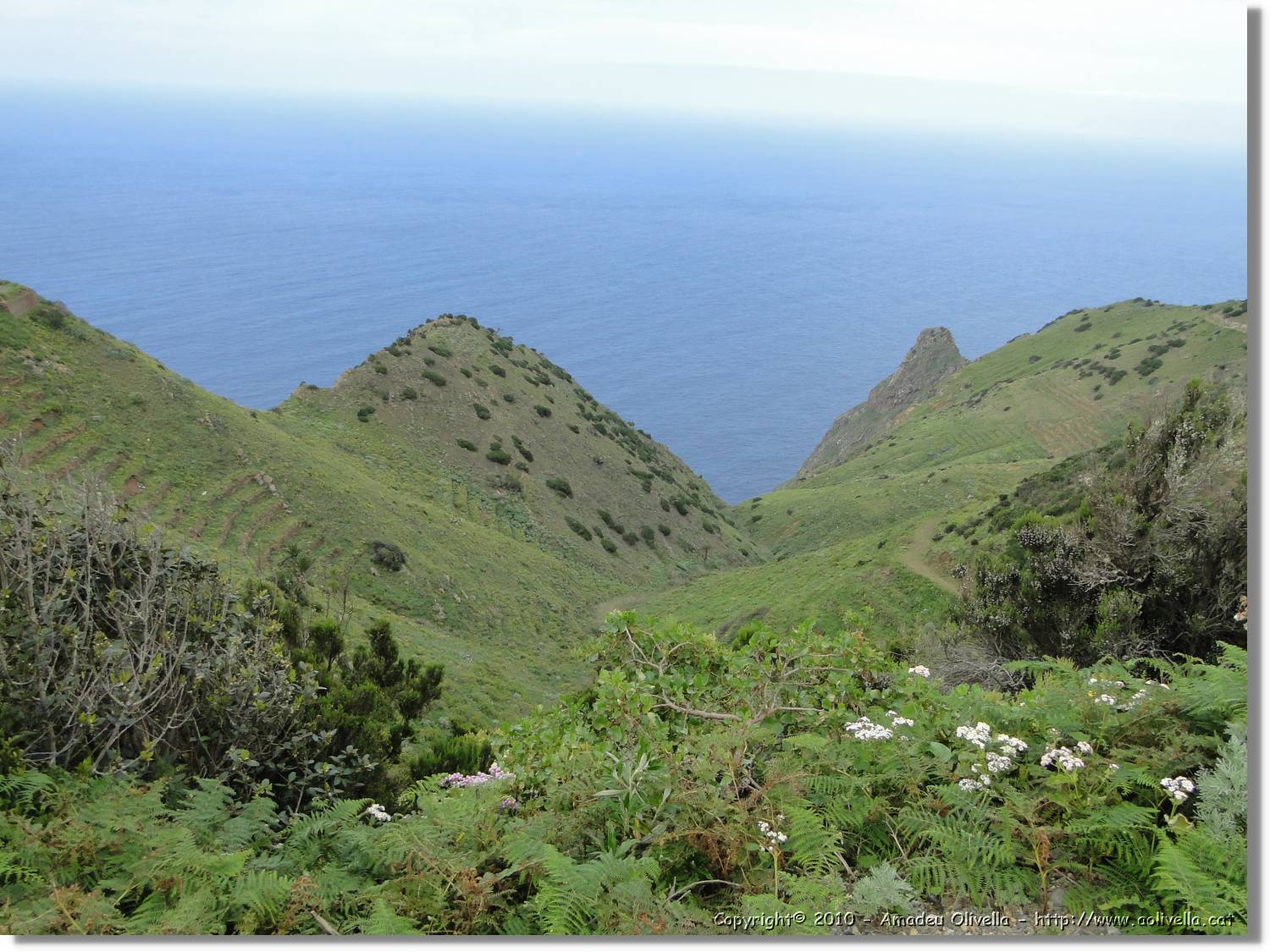 Gomera_182.jpg
