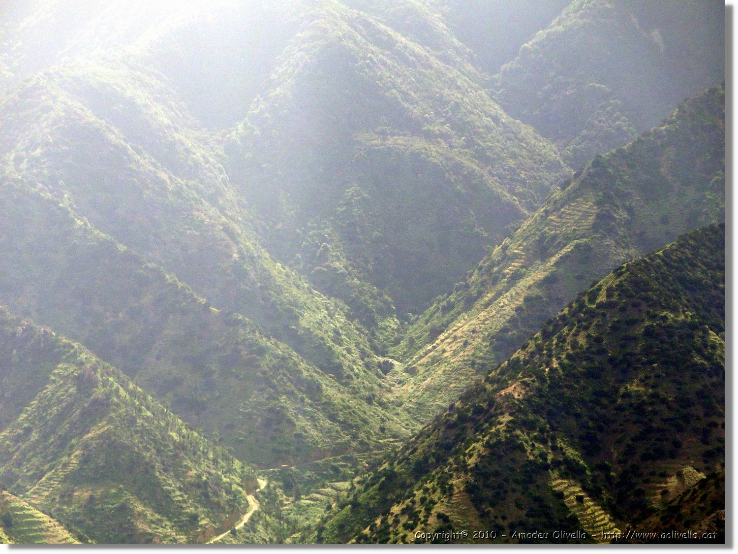 Gomera_184.jpg