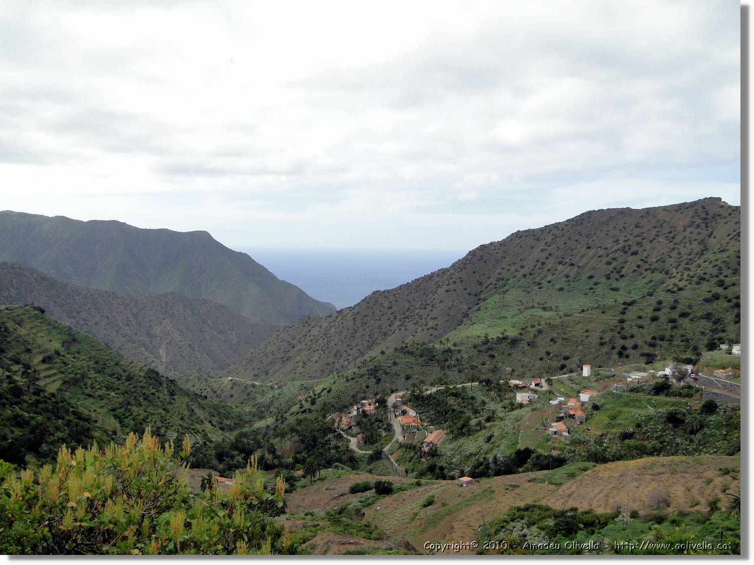 Gomera_186.jpg