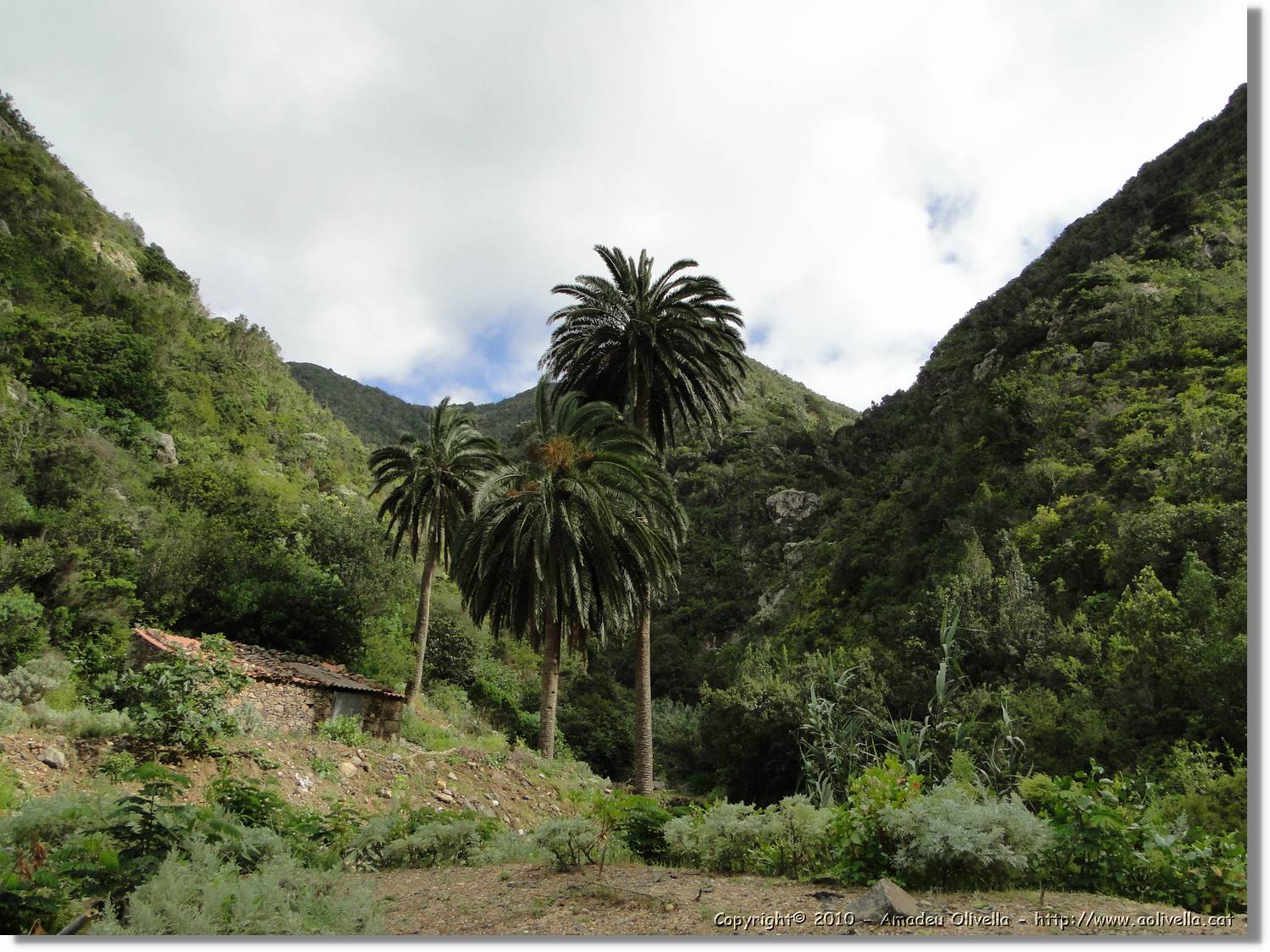 Gomera_192.jpg
