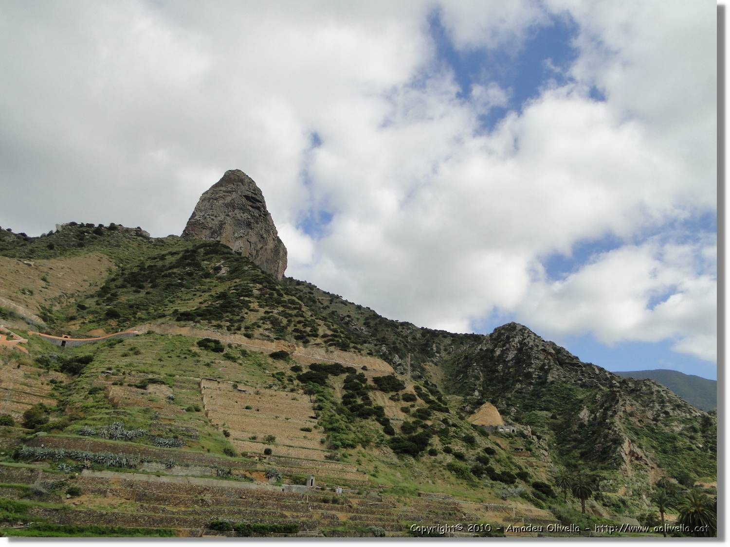 Gomera_209.jpg