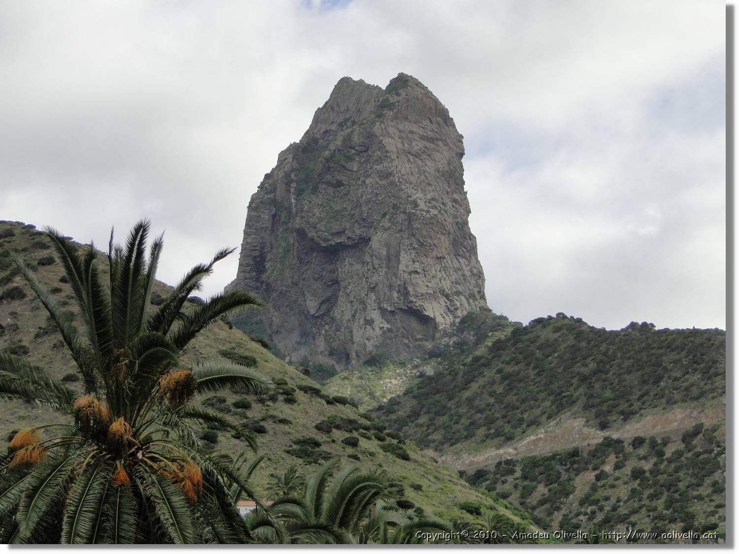 Gomera_220.jpg