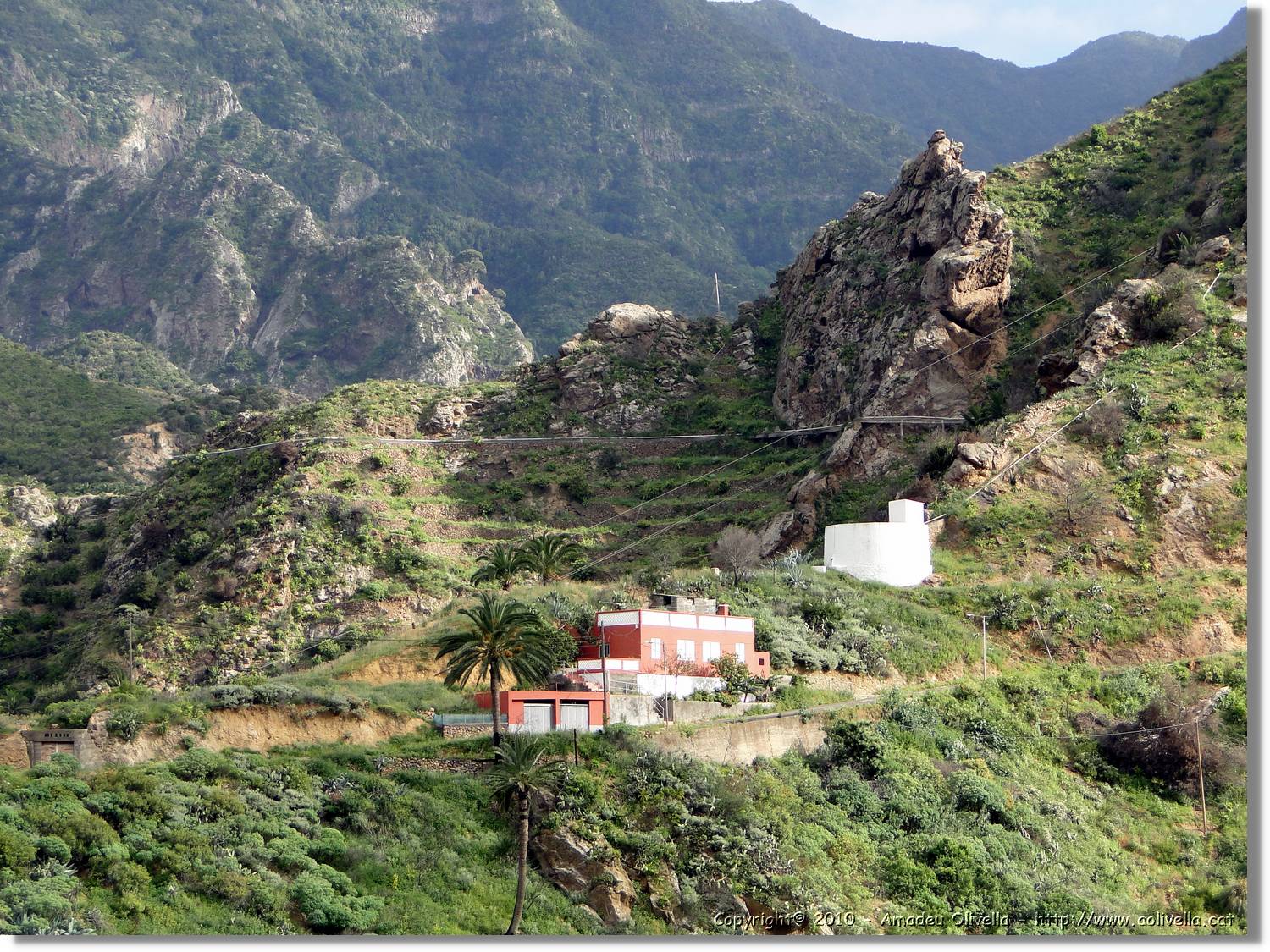 Gomera_229.jpg