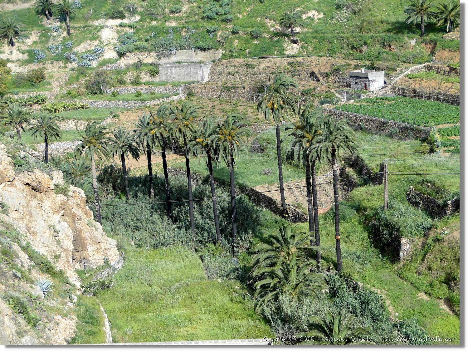 Gomera_232.jpg