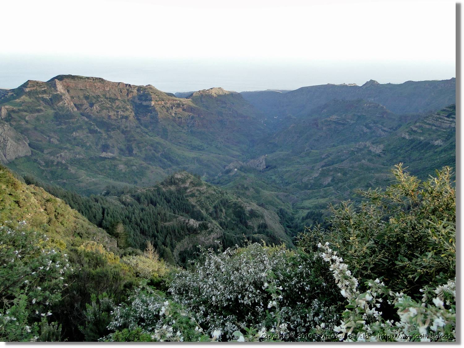 Gomera_312.jpg