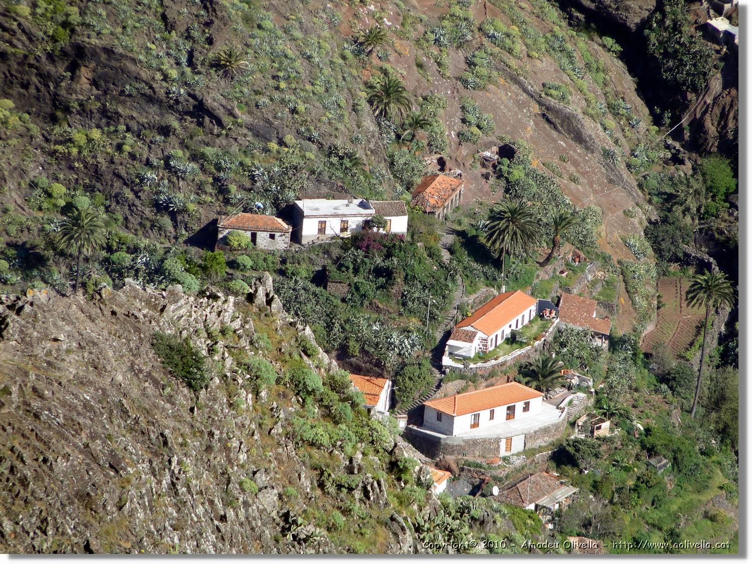 Gomera_378.jpg