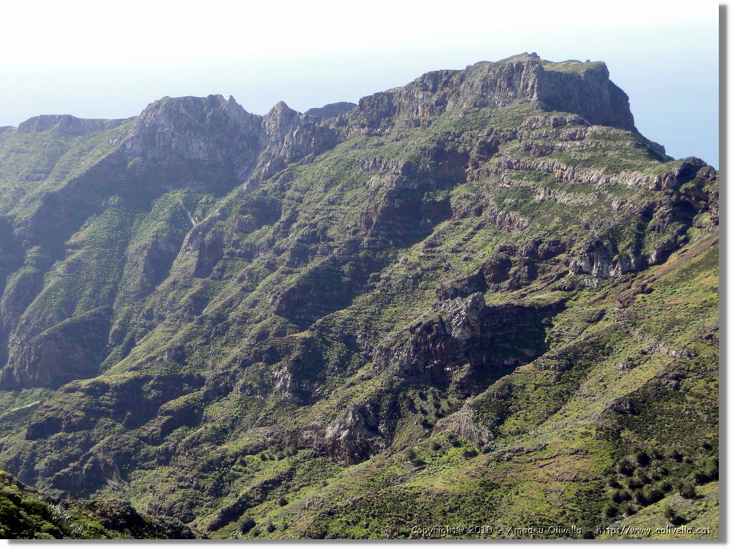 Gomera_382.jpg