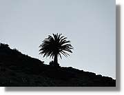 Gomera_019.jpg