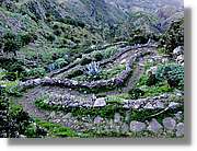 Gomera_022.jpg