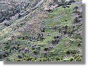 Gomera_030.jpg