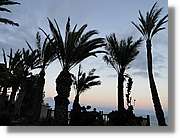 Gomera_055.jpg