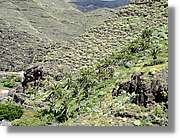 Gomera_067.jpg