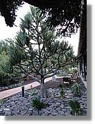 Gomera_094.jpg