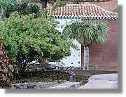 Gomera_098.jpg