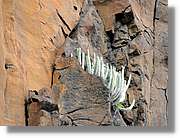 Gomera_175.jpg