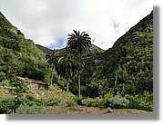 Gomera_192.jpg